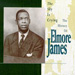Elmore James / The Sky Is Crying : The History of Elmore James