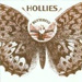 The Hollies / Butterfly